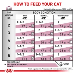 Royal Canin Renal Adult Wet Cat Food -ROYAL CANIN Sales I9522553 en 07