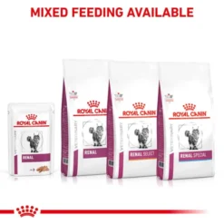 Royal Canin Renal Adult Wet Cat Food -ROYAL CANIN Sales I9522553 en 08