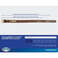 Weatherbeeta Padded Leather Dog Collar In Black