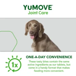 Yumove Chewies One A Day Dog Joint Supplement For Large Dog -ROYAL CANIN Sales I9523123 en 06