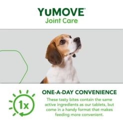 Yumove Chewies One A Day Dog Joint Supplement For Medium Dog -ROYAL CANIN Sales I9523124 en 06