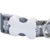 Red Dingo Stars Dog Collar In White On Grey
