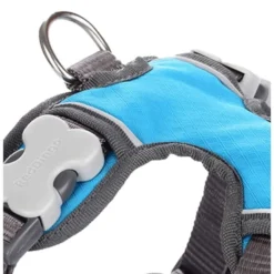 Red Dingo Padded Dog Harness In Turquoise -ROYAL CANIN Sales I9530462 01
