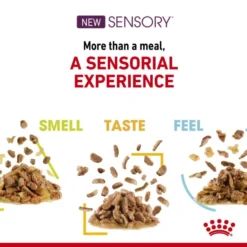 Royal Canin Sensory Feel Wet Cat Food In Gravy -ROYAL CANIN Sales I9543283 en 04