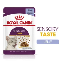 Royal Canin Sensory Taste Wet Cat Food In Jelly -ROYAL CANIN Sales I9543286