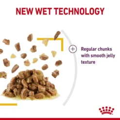 Royal Canin Sensory Taste Wet Cat Food In Jelly -ROYAL CANIN Sales I9543286 en 06