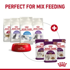Royal Canin Sensory Taste Wet Cat Food In Jelly -ROYAL CANIN Sales I9543286 en 08