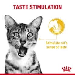 Royal Canin Sensory Taste Wet Cat Food In Jelly