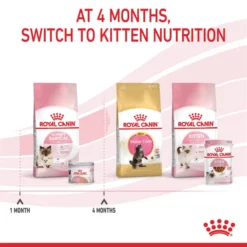Royal Canin Mother And Babycat Wet Cat Food - Mousse -ROYAL CANIN Sales I9577309 en 10