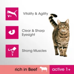 Perfect Fit Active Adult 1+ Dry Cat Food - Beef