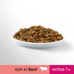 Perfect Fit Active Adult 1+ Dry Cat Food - Beef -ROYAL CANIN Sales I9601281 en 08