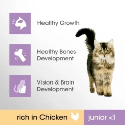 Perfect Fit Junior <1 Dry Cat Food - Chicken -ROYAL CANIN Sales I9601286 en 04