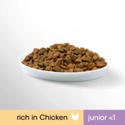 Perfect Fit Junior <1 Dry Cat Food - Chicken -ROYAL CANIN Sales I9601286 en 08