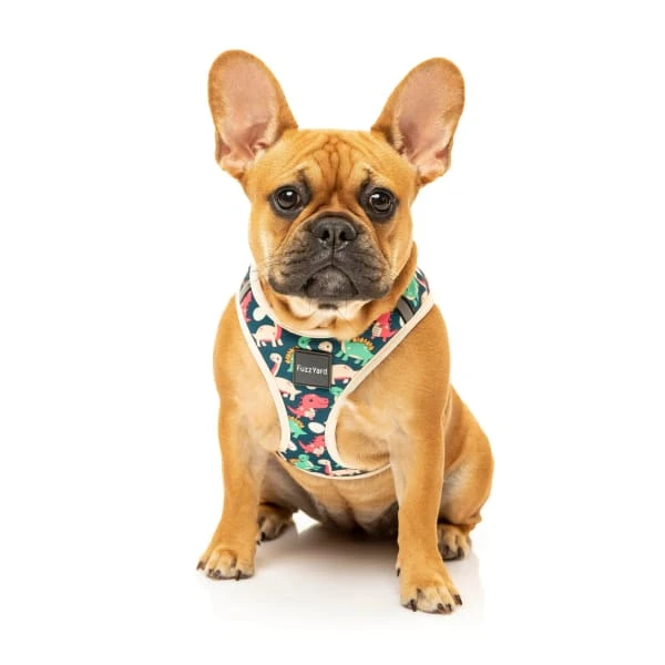 FuzzYard Dinosaur Land Step-In Dog Harness 2 FuzzYard Dinosaur Land Step-In Dog Harness - Image 2