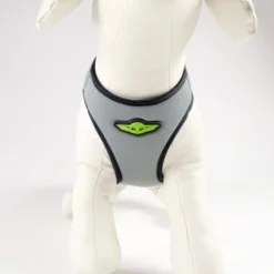 For Fan Pets The Mandalorian Adult Dog Harness - Dark Grey -ROYAL CANIN Sales I9607307 en 07