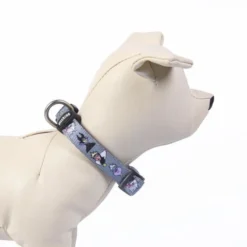 For Fan Pets Premium Disney Villains Adult Dog Collar - Grey -ROYAL CANIN Sales I9608286 en 05
