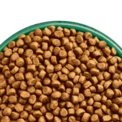 James Wellbeloved Gluten-free Senior Dry Cat Food - Chicken -ROYAL CANIN Sales I9613281 en 05