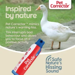 Company Of Animals Pet Corrector Spray For Dog