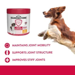 Harringtons Advanced Science Joint Support Chews For Adult Dogs -ROYAL CANIN Sales I9664277 en 04