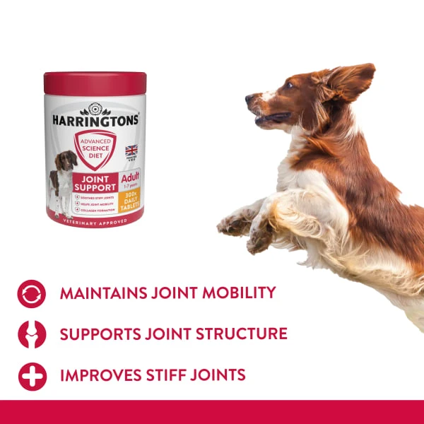 Harringtons Advanced Science Joint Support Adult Dog Tablets 2 Harringtons Advanced Science Joint Support Adult Dog Tablets - Image 2