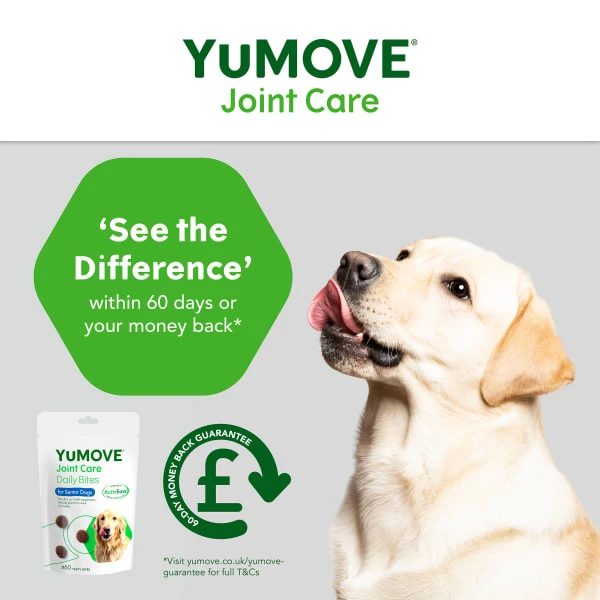 YuMOVE Joint Care Daily Bites Supplement For Senior Dogs 6 YuMOVE Joint Care Daily Bites Supplement For Senior Dogs - Image 6
