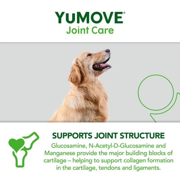 YuMOVE Joint Care Daily Bites Supplement For Senior Dogs 3 YuMOVE Joint Care Daily Bites Supplement For Senior Dogs - Image 3