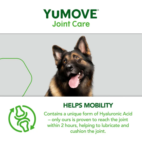 YuMOVE Joint Care Daily Bites Supplement For Senior Dogs 4 YuMOVE Joint Care Daily Bites Supplement For Senior Dogs - Image 4