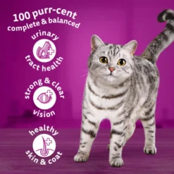Whiskas 1+ Cat Complete Dry With Chicken -ROYAL CANIN Sales I9673300 en 04