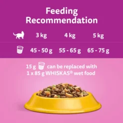Whiskas 1+ Cat Complete Dry With Chicken -ROYAL CANIN Sales I9673300 en 05