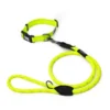 Long Paws Urban Trek Reflective Neon Dog Collar