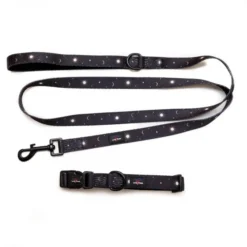 Long Paws Funk The Dog Night Sky Adjustable Dog Collar - Black -ROYAL CANIN Sales I9684304 en 02