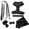 Long Paws Funk The Dog Night Sky Adjustable Dog Harness - Black