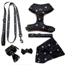 Long Paws Funk The Dog Night Sky Dog Lead - Black