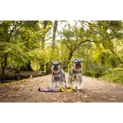 Long Paws Funk The Dog Leopard Dog Collar - Pink -ROYAL CANIN Sales I9684308 en 03