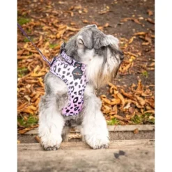 Long Paws Funk The Dog Leopard Dog Lead - Pink -ROYAL CANIN Sales I9684310 en 04