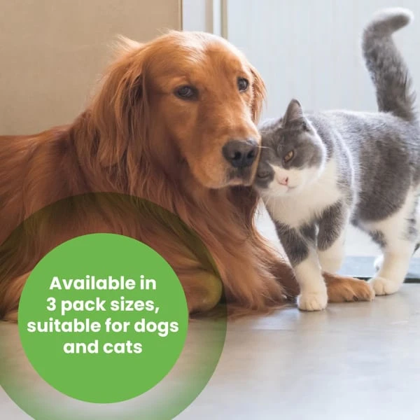 ROYAL CANIN Sales -ROYAL CANIN Sales I0044872 en 04